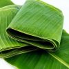 Banana Leaf